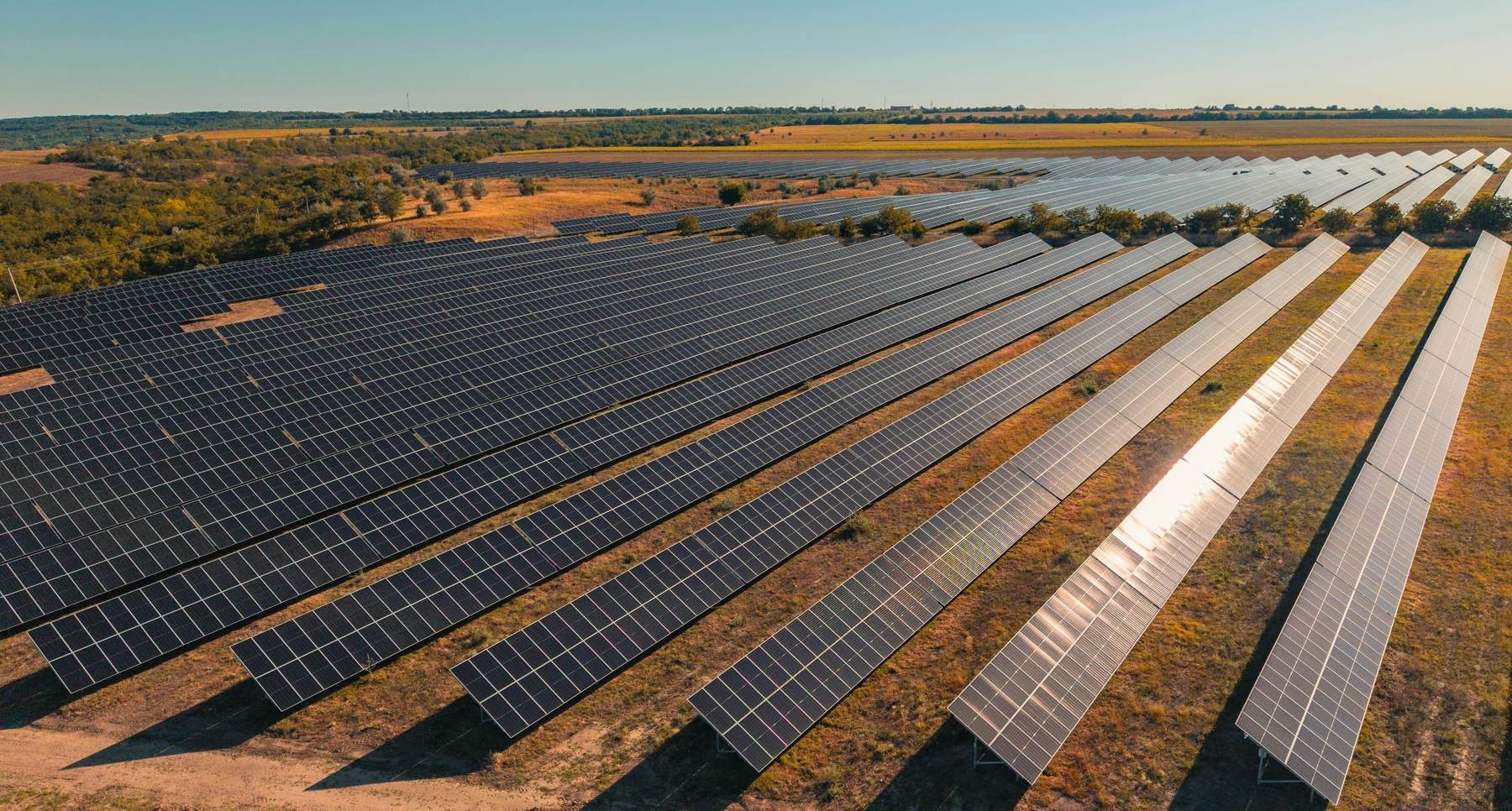 Aerial view of long rows of solar panels stretching across a field at golden hour