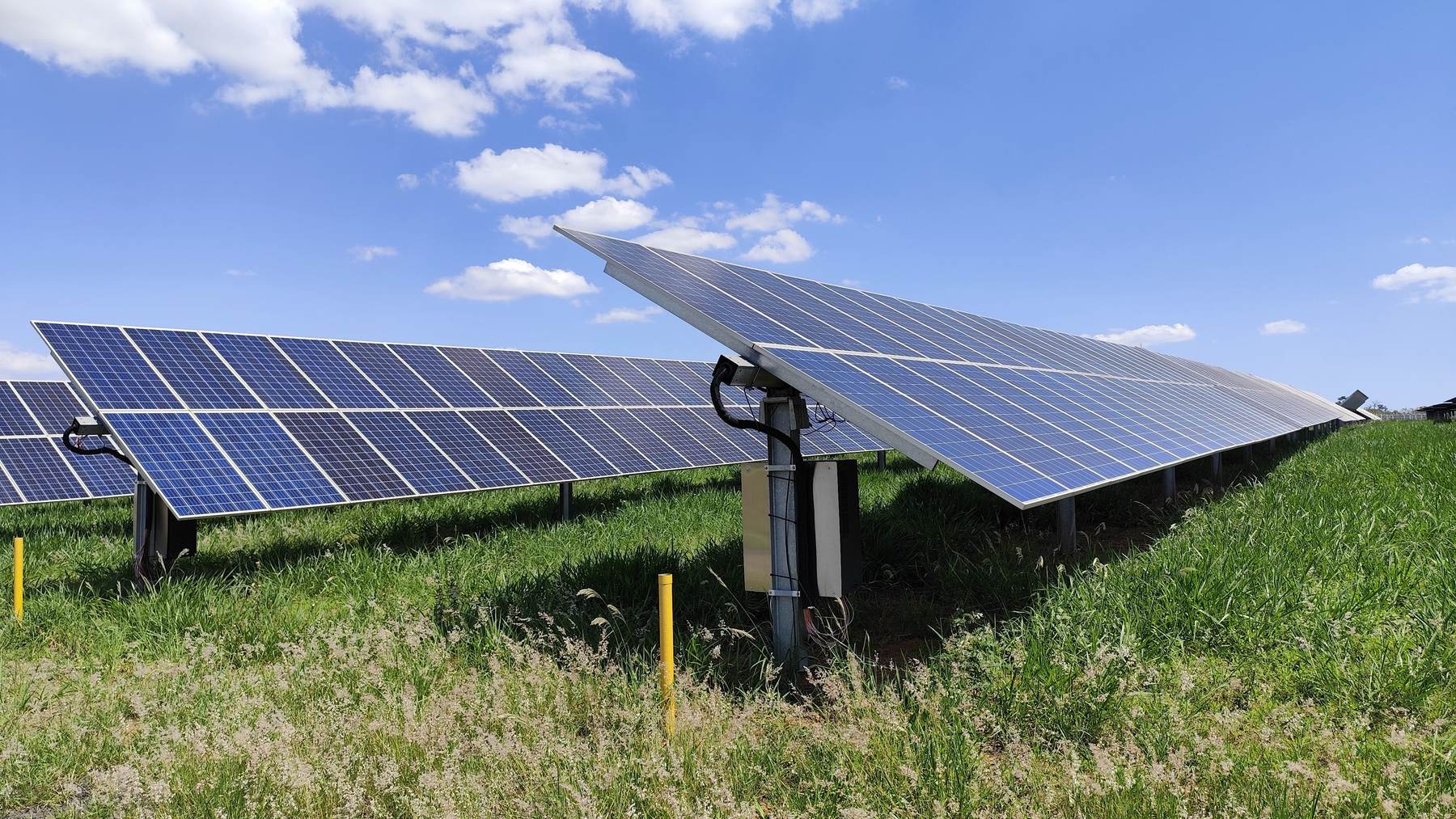 Solar panels angled across a grassy field at ground level